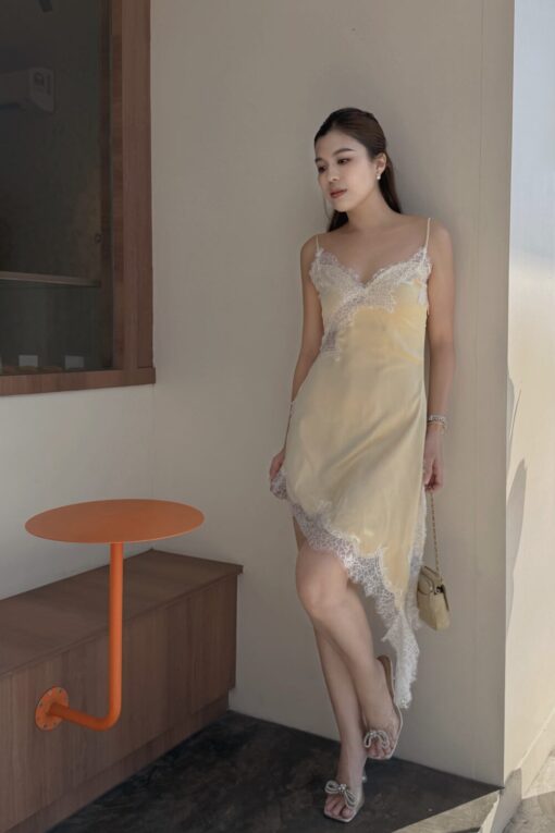 Whispered Silk Lace Dress